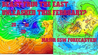 Beast from the East Unleashed this February? Cold next week and SSW possible UK Weather Forecast