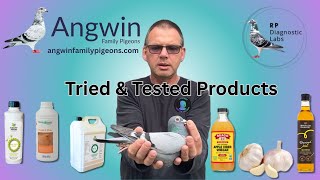 Racing Pigeon Loft essentials Diagnostic testing plus tried \u0026 tested Products Angwin Family Pigeons