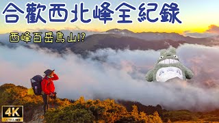 【百岳】一日單攻合歡山西北峰3D軌跡空拍全紀錄🗻百岳四大鳥山之一❗❓大草原反射板黃金雲海Relive GPX Taiwantouristspot29Top100Mt.Taiwan Hehuan赤心巔峰