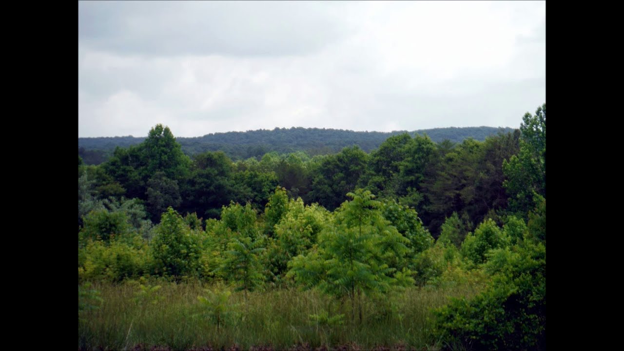 Thornburg Trail: Hiking Birkhead Mountain Wilderness In Uwharrie ...