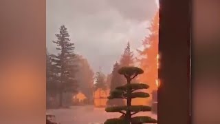 Lightning strikes tree in Gresham