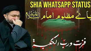 21 Ramzan WhatsApp Status|Shahadat Imam Ali WhatsApp Status|21 Ramzan Majlis|Shahenshah Naqvi Status