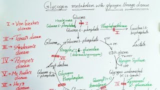 Glycogen Storage Diseases  by  Dr.Abhishek kumar