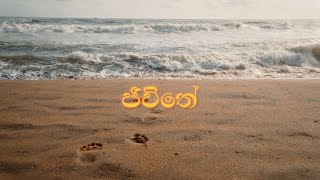 Jeewithe (ජීවිතේ) - Anjana Yasiru \u0026 Ayodhya Ravishanka (Official Music Video)