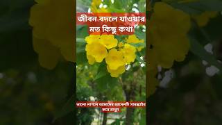 জীবন বদলে যাবে কথাগুলো শুনলে #ইসলামিক_ভিডিও #ইসলামিক #islamicshorts #shortvideo