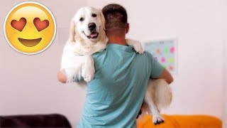 Carrying My Dog Like Baby - CHALLENGE [Cute Dog Reaction]