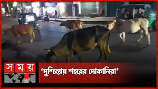 রাত নামলেই পশু পালের দখলে রাঙামাটি শহরের রাস্তা! | Rangamati News | Somoy National