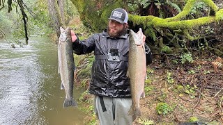 Christmas Eve STEELHEAD Fishing (we caught the most on the river)