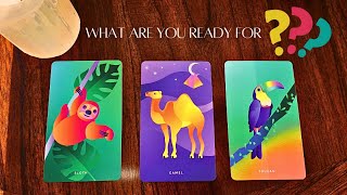 Pick a Card 💚💜💛 What you are ready for❗️😘