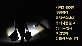 정식이의247이야기~새벽3시30분 캣맘이랑 산에 동행했습니다~누구도 캣맘에게 마음의 상처를 줄 자격은 없습니다