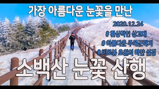 소백산 눈꽃산행I주목의 아름다운 설경I환상적인 상고대 I비로봉초원의 하얀 설경/천동지구코스