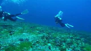 トカラ列島 芽瀬 高速ドリフト