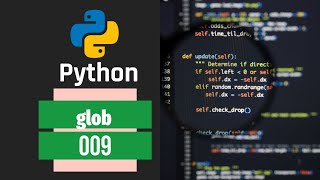009 | Python Programming | glob Module