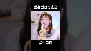 [뽀구미 클립/ 쇼츠] 방송정지 5초전 #뽀구미 #뽀구미클립 #오구라유나