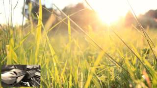 藤掛廣幸作曲「パストラル」 Hiro Fujikake - Pastoral for Mandolin Solo and Piano