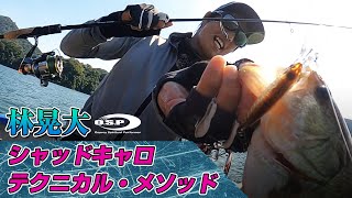 【林晃大】シャッドキャロ　テクニカル・メソッド【秋の津久井湖でバス連発！】