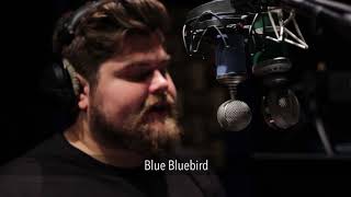 Blue Bluebird vs. Blue Kiwi (Male) | VO Mic Comparison