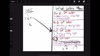 Learn MBTI function stack in 5 minutes