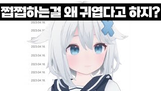 그저 세구땅이 쩝쩝 거리는 영상