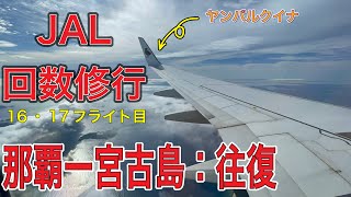 「JGC回数修行」16・17フライト目：那覇ー宮古島は飛行機の羽を見てるだけでテンション上がってます