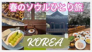 【韓国🇰🇷ひとり旅】桜咲くソウルで🌸食べてお茶して☕️また食べて😋お店の地図載せてみました👍【2024年4月】