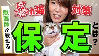 プロの獣医のワザを披露！暴れる猫を正しく安全に抑えるテクニック！