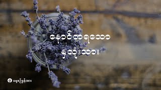 နေ့စဉ်ခွန်အား | ၂၀၂၄ ခုနှစ်၊ သြဂုတ်လ (၂၃) ရက်