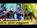 Dobermann ன் வியக்கவைக்கும் குணாதிசயங்கள் : All About Dogs EPISODE - 21 | American Doberman