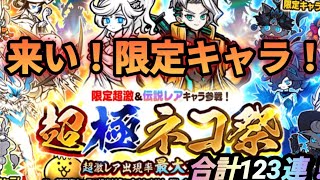 【にゃんこ大戦争】超極ネコ祭！！限定キャラ当ててやる！！