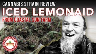 Coastal Sun Farm | Iced Lemonaid Strain Review | 24% THC
