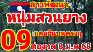 ตำลาว🇱🇦🇱🇦หนุ่มสวนยาง ปล่อยต่อหลังแตก 09 บนตรงๆ 8/1/68