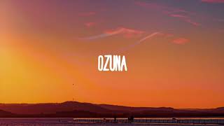 KAROL G - ODISEA (Letra/Lyrics) ft. Ozuna