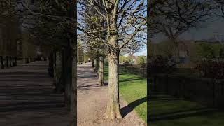 The King's Garden and Rosenborg Castle - Copenhagen, Denmark  4.28.24