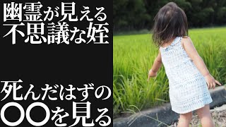 【不思議な話】「お化けが見える」という甥っ子。ある日家に来た時に→「なんでこんなに猫がいるの？」猫は飼ってないのに…【朗読】