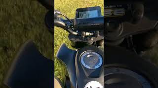 Honda grom goofin