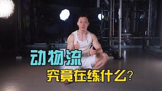 动物流究竟在练什么？【教程教程】