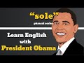 Sole Usage, Pronounce, Meaning, Definition, Sentence Examples