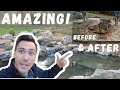 🐟 Koi pond RENOVATION 🚧- Incredible BEFORE and AFTER - Building with the BeeTeam! 🐝