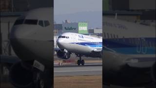 伊丹32L　白煙がほぼ出ないナイスタッチダウン ANA 737-800 #Shorts