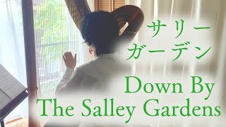 ハープで『サリーガーデン』Down By The Salley Gardens Harp cover./アイルランド民謡