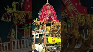 Ratha rudha maa subhadra  🙏🏻 || puri || odisha || Jai maa subhadra