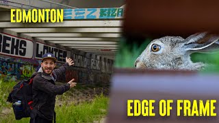 Chasing Urban Wildlife Photography In Edmonton - Edge Of Frame, Ep. 2