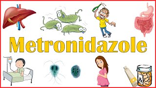 Metronidazole(Flagyl) - Mechanism Of Action, Indications, Adverse Effects \u0026 Contraindications