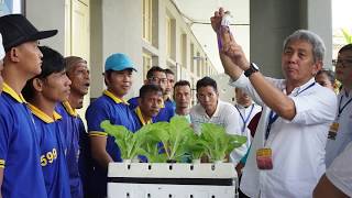 Hidroponik untuk Mereka - LAPAS Pemuda II A - TANGERANG (Testimoni Pak Ronny Tanumihardja)