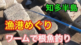 知多半島 漁港めぐり ワームで根魚釣り 南知多