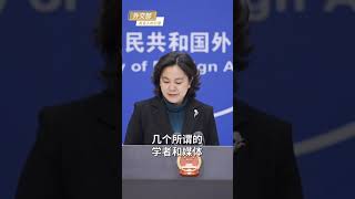 华春莹：个别西方国家终将为其愚蠢和傲慢付出代价