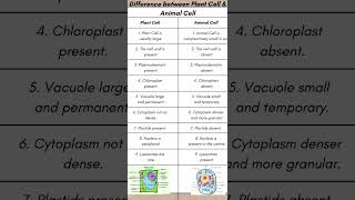 Difference Between Plant Cell And Animal Cell