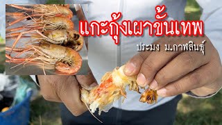 🦐 การแกะกุ้งเผาขั้นเทพ [ประมง ม.กาฬสินธุ์]