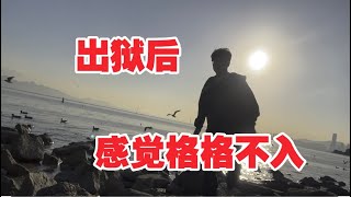 离开电子厂监狱，一个人游玩感觉格格不入了！深圳湾公园，海水真的巨脏