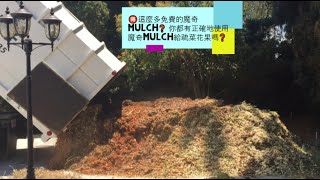 🉐如何得到免費的魔奇Mulch❓ 你都有正確地使用魔奇mulch給疏菜花果嗎❓魔奇的種類，魔奇的益處 景觀覆蓋物 how to get free mulch, mulch benefits